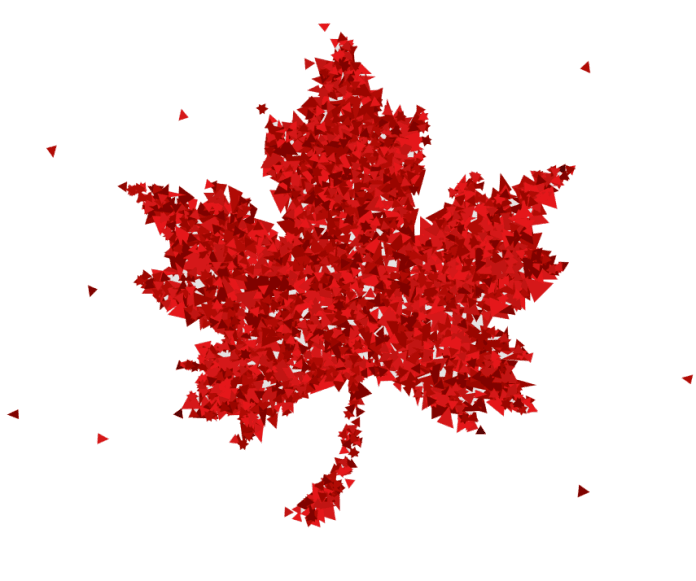 Morar e Trabalhar no Canadá o que é Necessário?