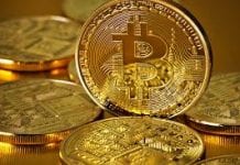 Bolsa de Moeda Virtual Pede Falência por Perder Acesso as Senhas Bolsa de Moeda Virtual Pede Falência por Peder Acesso as Senhas