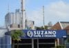 A gingante Suzano comunica menor investimento no Brasil em 2026 Dólar em Queda e Suzano com 300% de Lucro