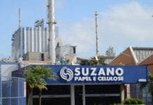 A gingante Suzano comunica menor investimento no Brasil em 2026 Dólar em Queda e Suzano com 300% de Lucro