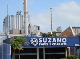 A gigante Suzano comunica menor investimento no Brasil em 2026 Dólar em Queda e Suzano com 300% de Lucro