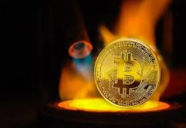 Esquema pirâmide com Bitcoin prometia lucro de 20% mensal