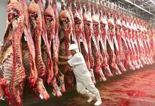 Carrefour pode ficar sem carne indústria de bovinos vai paralisar abastecimento Para comprar gado JBS vai emitir R$ 600 milhões em debêntures