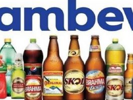 Presidente da Ambev renuncia e sucessor é nomeado, o anuncio foi nesta segunda-feira,18. O presidente-executivo da companhia, Bernardo Paiva, decidiu deixar a maior cervejaria da América Latina para buscar projetos pessoais.