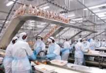 Confiança da indústria brasileira é predominantemente negativa, aponta CNI Indústria de alimentos cresce em meio a pandemia Covid 19