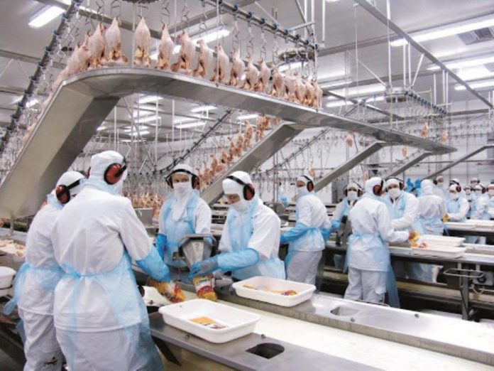 Indústria de alimentos cresce em meio a pandemia Covid 19