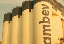 Ambev apresenta crescimento no lucro, mas aponta queda do poder de compra dos brasileiros com cenário desafiador ambev otimistas