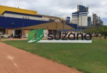 Klabin e Suzano elevam preço da celulose Suzano tem planos de investimento de R$ 4,9 bi para 2021