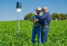 Falta de negociação do governo brasileiro com EUA causa insegurança jurídica ao exportador. O agro está muito prejudicado, afirma especialista Empresas de tecnologia em alta no agronegócio as agtechs
