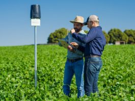 Empresas de tecnologia em alta no agronegócio as agtechs