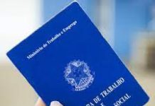 Pequenas e Microempresas são destaque em geração de empregos Pequenos empreendedores são os maiores geradores de emprego