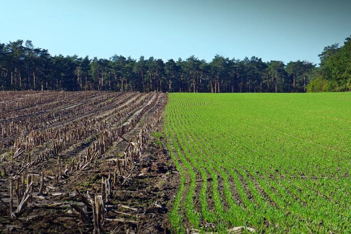 Emissão de instrumento de câmbio do agronegócio por investidores profissionais é aprovada Brasilagro