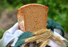 Mercado de trigo deve sofrer alta por conflito entre Ucrânia e Rússia Mercado de trigo deve sofrer alta por conflito entre Ucrânia e Rússia