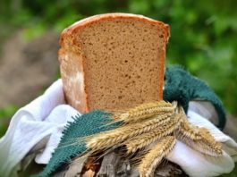 Mercado de trigo deve sofrer alta por conflito entre Ucrânia e Rússia