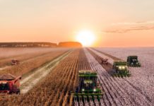 Prejuízo de uma das maiores empresas agro do Brasil cresce no trimestre Lucro da SLC com commodities agrícolas é superior a R$ 1 bilhão