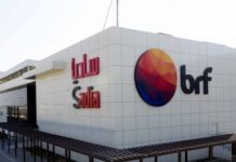 Lucro da BRF é de R$ 754 milhões no último trimestre BRF tem importação de frango da China suspensa