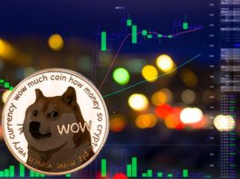 Dogecoin e ApeCoin grande liquidação perda atualização