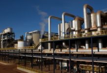 Lucro reportado pela CerradinhoBio é superior a R$ 500 milhões CerradinhoBio reporta lucro