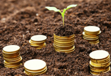 Perícia do Incra que desapropriou fazenda da família Bettim é desmentida e desapropriação é paralisada financiamento agronegócio