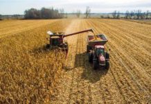 Brasil está se tornando dependente da China, Lula não  incentiva indústria de transformação, presidente da Abimaq aponta problemas china colheita calor