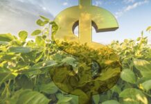 Conheça os bilionários brasileiros do agronegócio bilionários do agronegócio