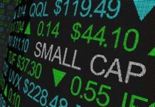 Small Caps o que são e quais as mais valorizadas? small caps o que são valorizadas