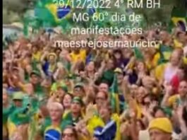 Brasileiros se mobilizam pela democracia