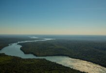 Guardiões do Bioma derruba desmatamento na Amazônia em mais de 11% AMAZONIA DESMATAMENTO BIOMA