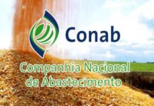 Controle do preço de grãos é anunciada pelo governo Lula Controle do preço de grãos é anunciada pelo governo