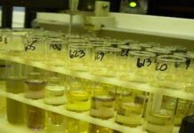 Importação de biodiesel por distribuidoras é suspensa pelo governo sem estudo prévio de impacto