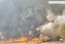 Incêndio no interior de São Paulo faz Tarcísio criar gabinete de crise