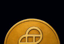 IPO da Gemini tem forte demanda e faz preço das ações dispararem