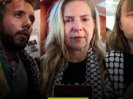 deputada Luizianne Lins (PT-CE),