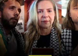 deputada Luizianne Lins (PT-CE),