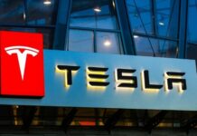 Banco Japonês Mizuho reafirma potencial de crescimento da Tesla de Elon Musk e eleva preço-alvo