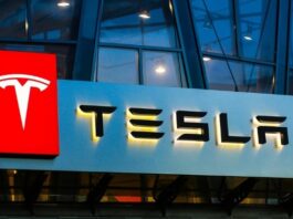 Banco Japonês Mizuho reafirma potencial de crescimento da Tesla de Elon Musk e eleva preço-alvo