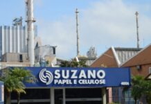 Suzano avalia venda de ativos não essenciais e ações tem queda forte