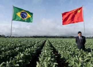 China limita fertilizantes agro soja