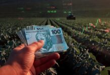 AGRO, AGRONEGÓCIO