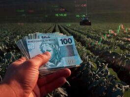 AGRO, AGRONEGÓCIO