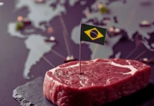 CARNE