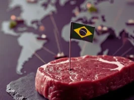 CARNE