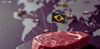 CARNE