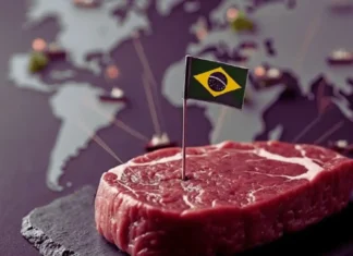 CARNE