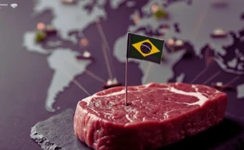 CARNE