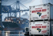 Europa endurece regras contra carne brasileira e acende alerta bilionário no agro carne brasileira, frigoríficos